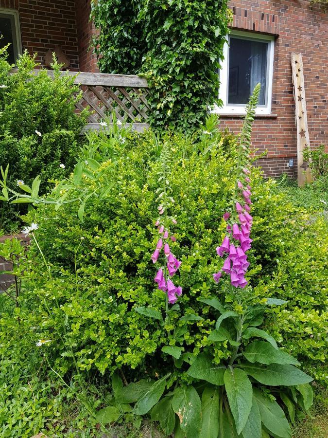 Ferienwohnung Im Naturgarten Schneverdingen Εξωτερικό φωτογραφία